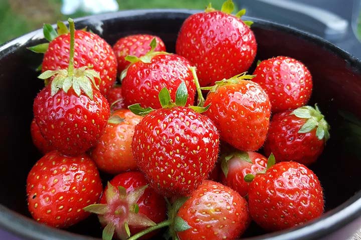 吃草莓减肥吗