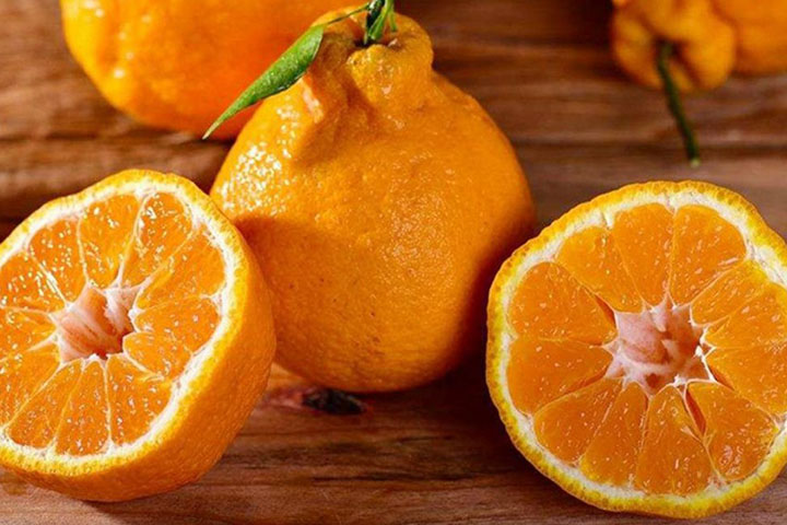 丑橘叫什么