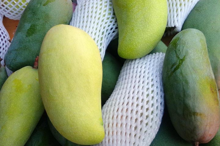 芒果是什么季节的水果